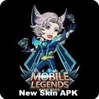 Unlock All Skin icon