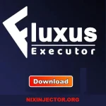 Fluxus Executor